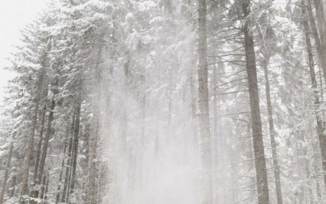 В Воронежской области объявили оранжевый уровень погодной опасности