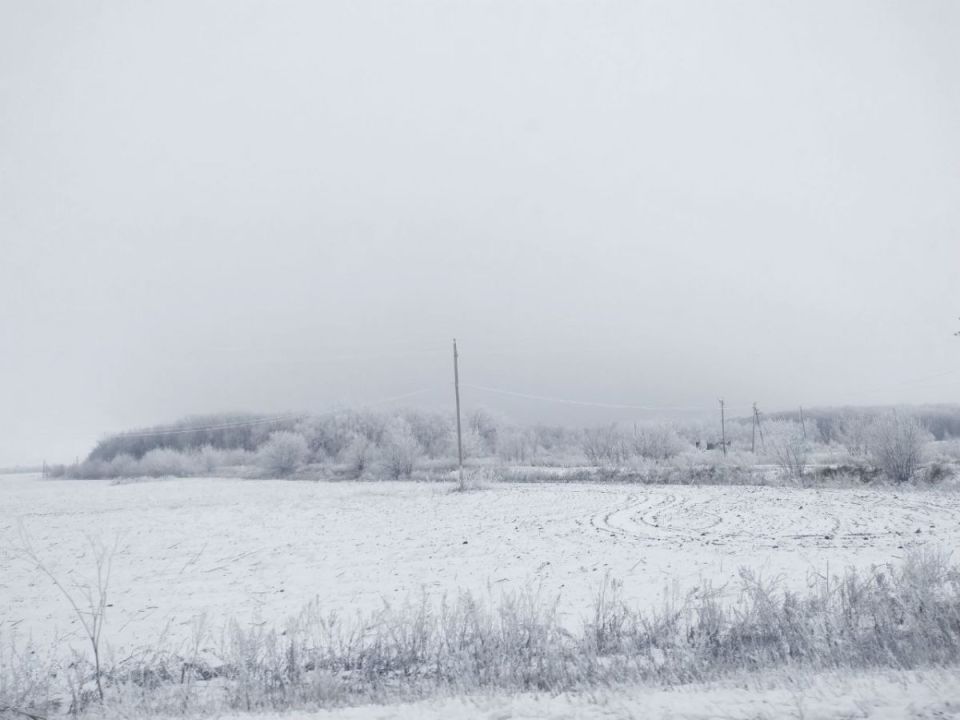 � ���������, ������ � ���������� ������������ ���������� �� ��������