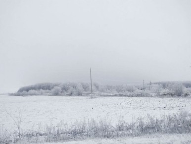 О снегопаде, тумане и гололедице предупредили воронежцев на выходных