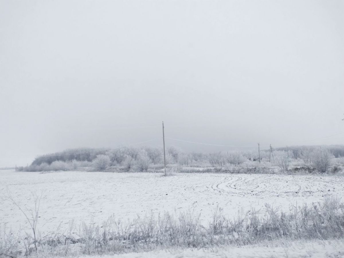 О снегопаде, тумане и гололедице предупредили воронежцев на выходных