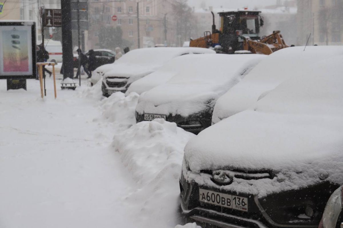 Воронежцам посоветовали воздержаться от поездок на выходные из-за сильного снегопада