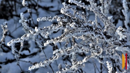 ����� ��������, ������� � ����������� ������� ��������� ������ �� -29 ��������