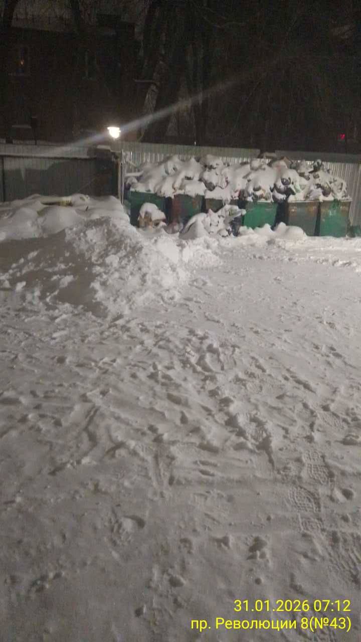 В Воронеже из-за снегопада техника не может подъехать к местам накопления мусора