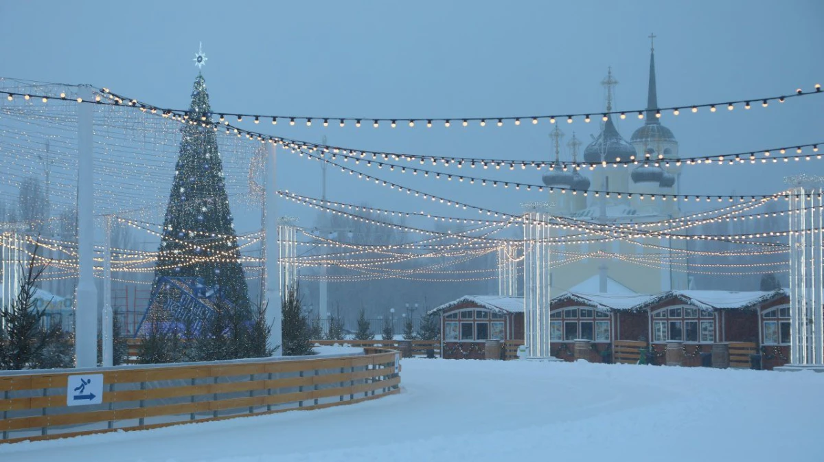 В Воронеже каток на Адмиралтейской площади не будет работать весь день 31 января