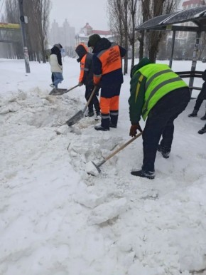 #уборка_Воронежа днём 31 января