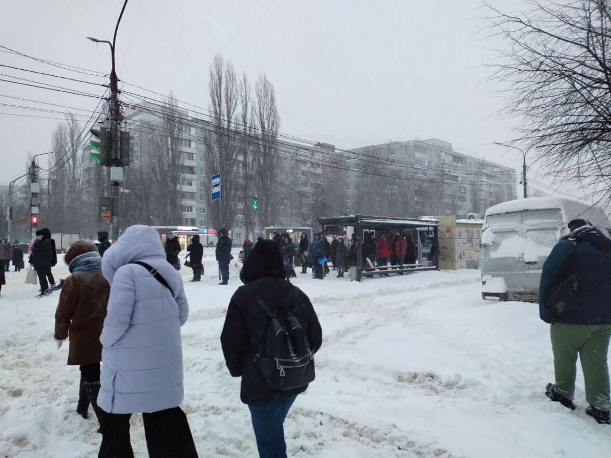 Воронеж вводит дистант: в связи с погодными условиями родителям советуют оставить детей дома