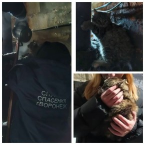 � �������� ������� ������� � �����