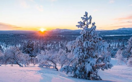 � ����������� ������� �� ����� �������� ��������� ������� �������� ��������� ��-�� �������