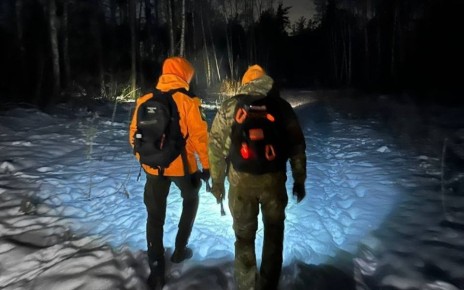 В первый месяц 2026 года в добровольческий отряд «ЛизаАлерт. Воронежская область» поступило 94 заявки на поиск без вести пропавших местных жителей