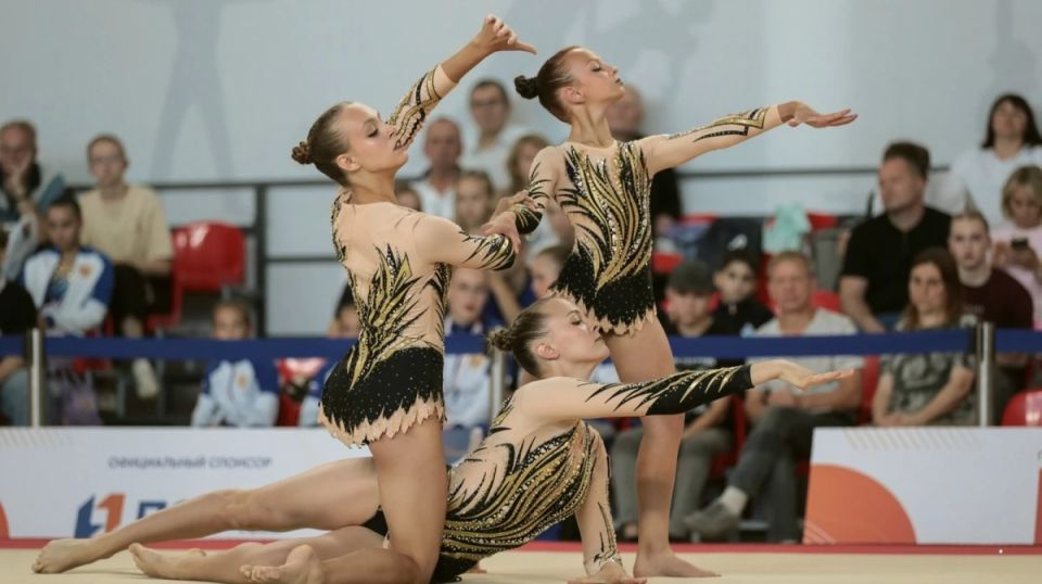 Звание «Мастер спорта РФ» присвоили 12 жителям Воронежской области