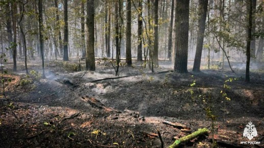 � ���� ����������������� ��� ������������ ����������� �� 173,9 ��� ������ �� ������ �����