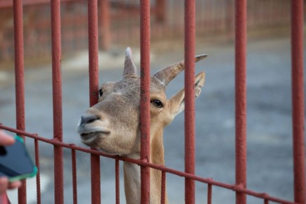 � ����������� ������� � ������ ������� ���� ������� ��������� � ��������