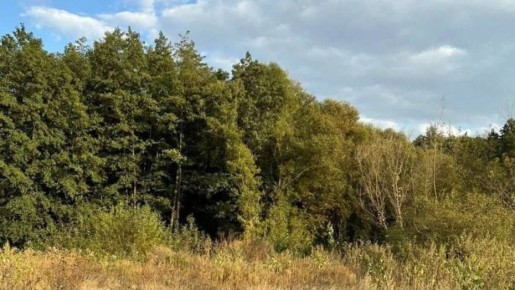 � ����������� ������ 20,7 �� ������ ������� ����� ������� � ������������� �����������