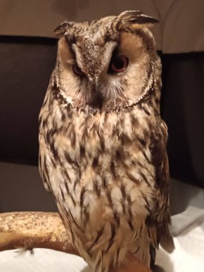 ������� ���� � �������-�������� ������� ����� �� ������ � ����������� �������