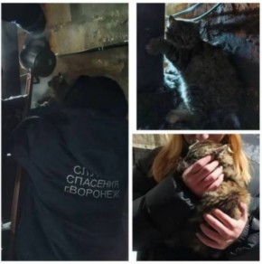 � �������� ��������� ���������� ������, ���������� ������� � �����