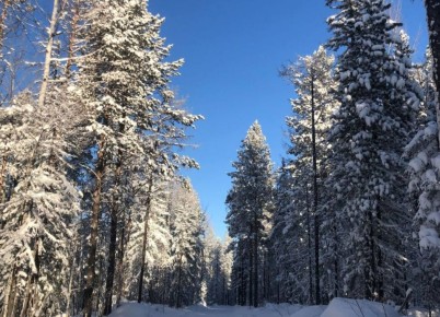 ��������� �������������� ��-�� ���������� ������� ����� �������� � ����������� �������