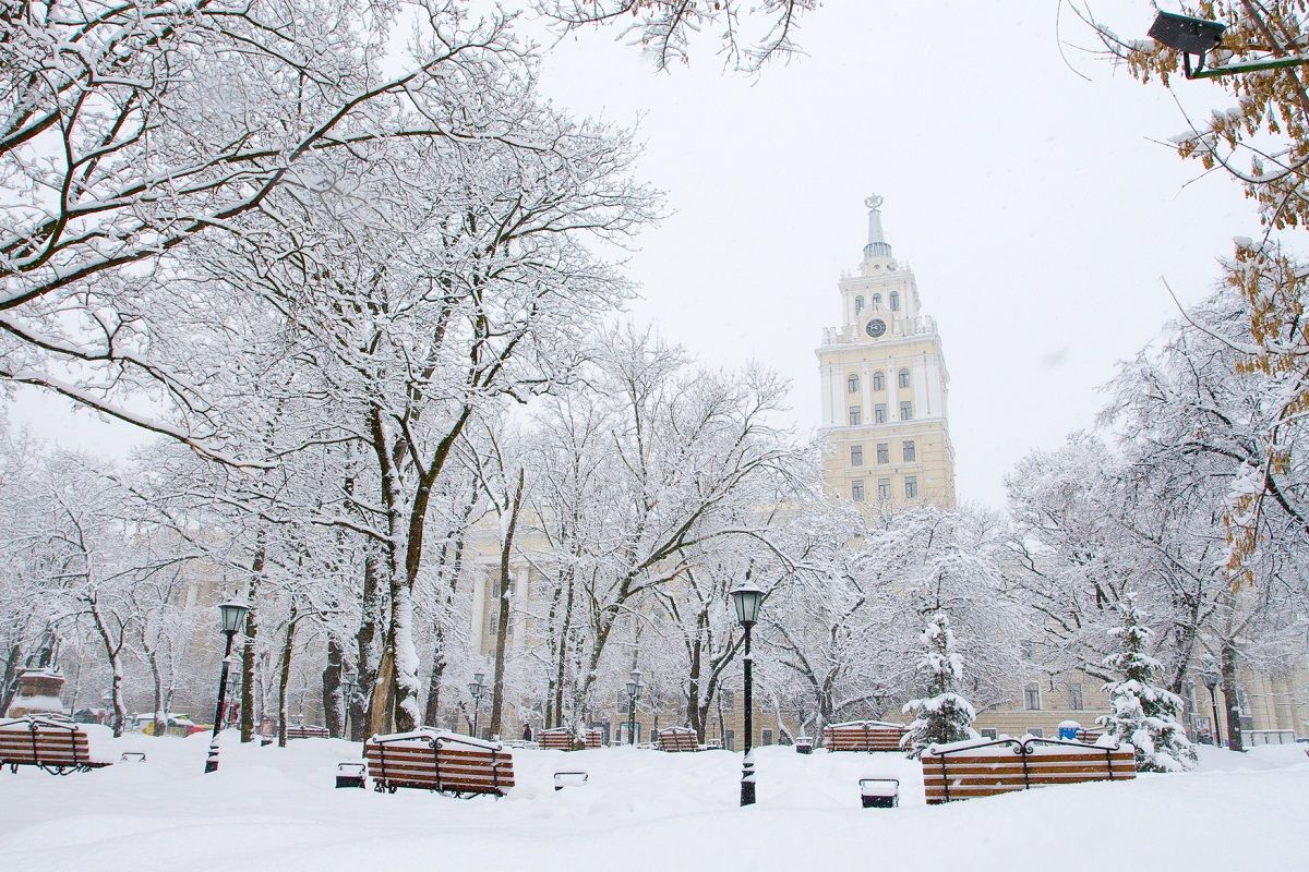 В Воронежской области продлили желтый уровень погодной опасности из-за снегопада и гололедицы