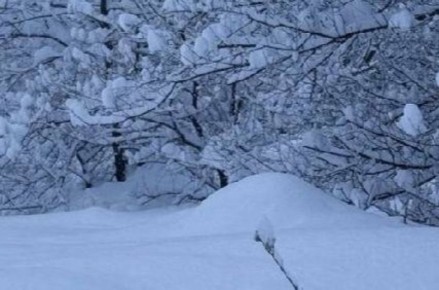 ������� ������ �� �������� � ����������� �������