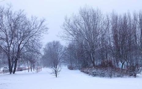 � ����������� ������� �������� ������ ������� �������� ���������