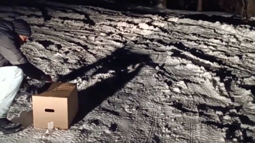 ����������� ��������� �������� � ��������� �� ���� ����, �������� ��� ������