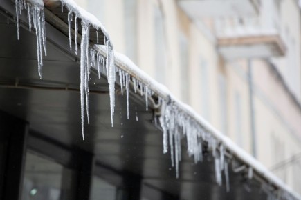 ���������� ���� ����������: ������� ������ �� ����� ������� ������