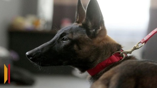 ���������� ������������ � ����� ��� ����� �� ����� �����