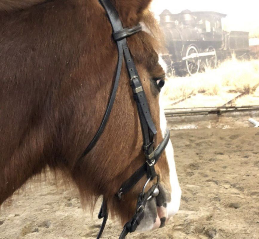 ������ �������� ����������� ������� ���������