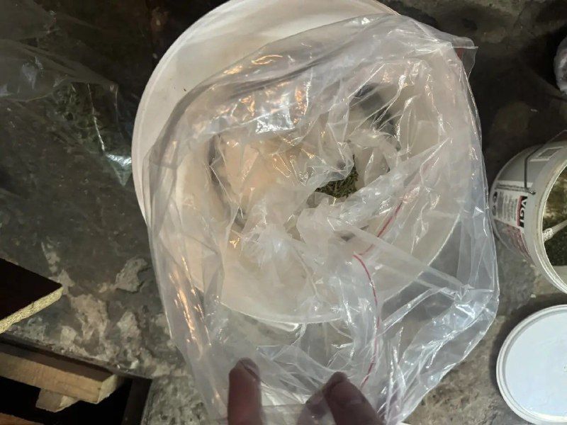 ����������� ����������� ������������� ���������� ����������� �� ������������ ����������