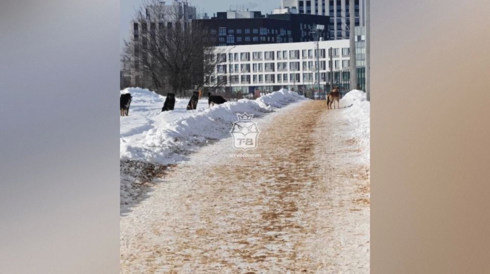 ��������� �������� � ���� ��������� ����� �� ����� ���������