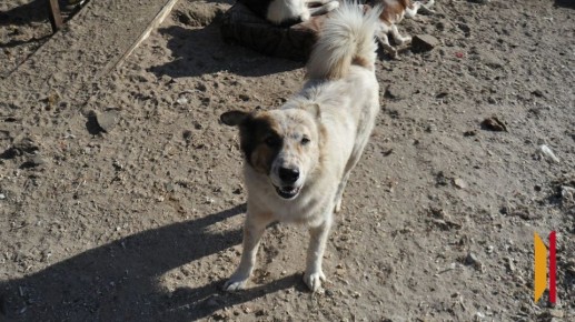 � �������� ���� ����� ����� � ��� � �������� �������