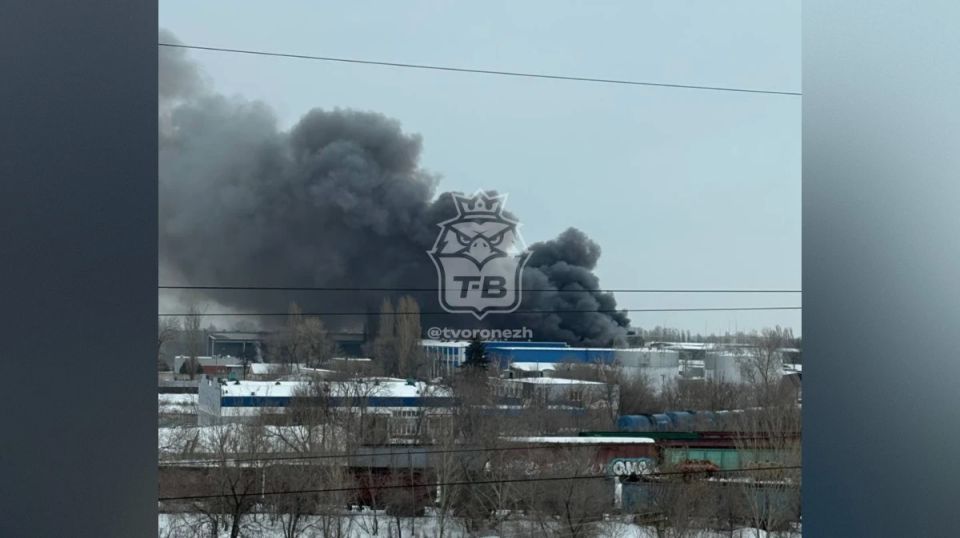 �� ����� ������ �������� ��������� ����� �������������� ���� 13 �������