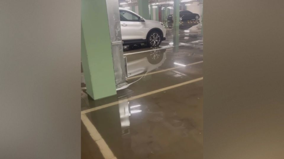 � ����������� �� ������ Club� �� �������� ����������� �������� ��������