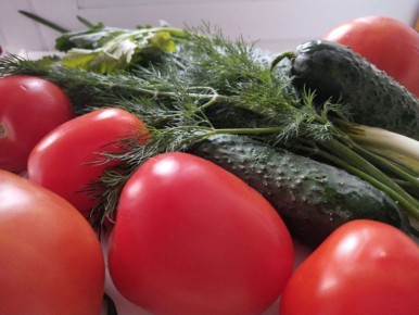 Стоимость огурцов в магазинах Воронежской области превысила стоимость курицы