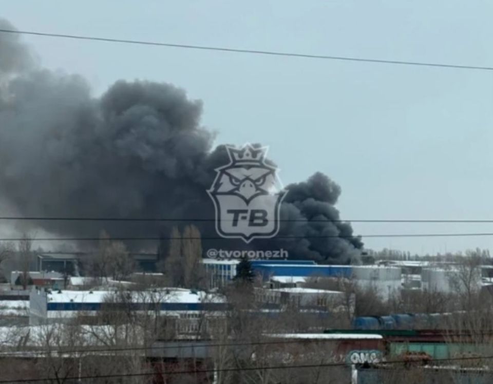 ����� �� ������ � ��������������� � ������������ ������ �������� ����������� ���������