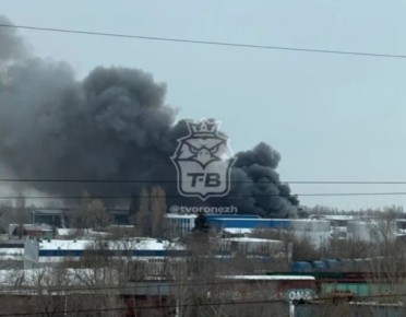 Пламя на складе с пиломатериалами в Левобережном районе потушили воронежские спасатели