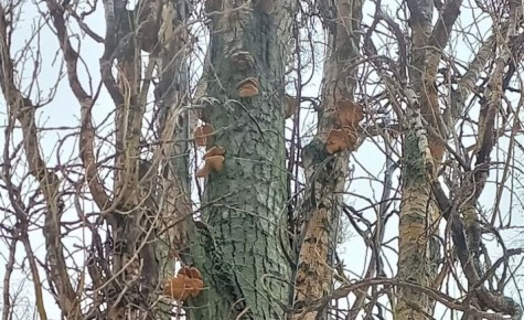 ������� �� ������: ��������� �������� ����� ����� � ������