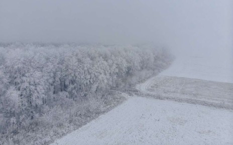 � ����������� ������� �������� ������ ������� �������� ���������