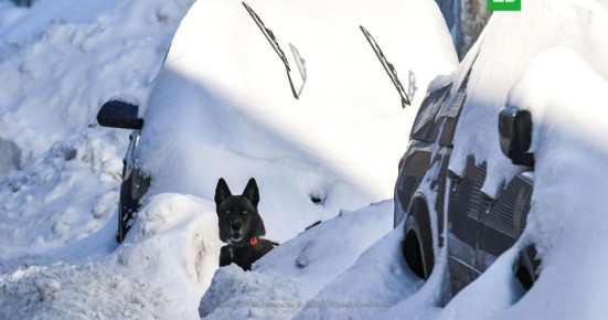 Жителей Центральной России предупредили об аномальных снегопадах
