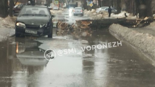 � ����������� ����������� ��� ������ ������� �� ����������