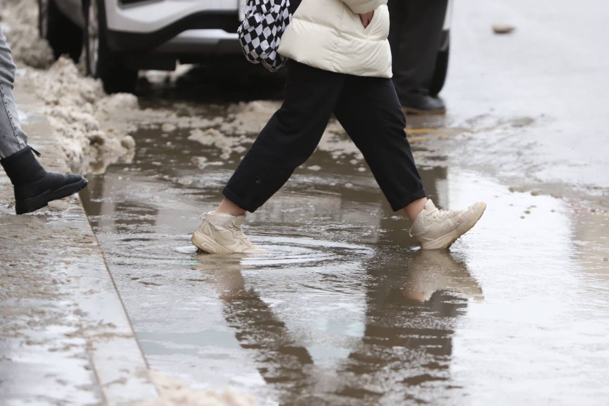 «Погодный апокалипсис» в Воронеже: ГЖИ контролирует уборку снега и наледи