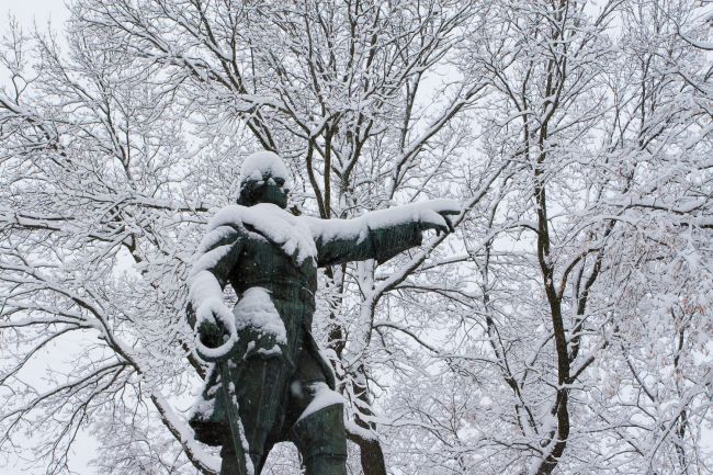 Воронежцам обещают снежную и морозную середину недели