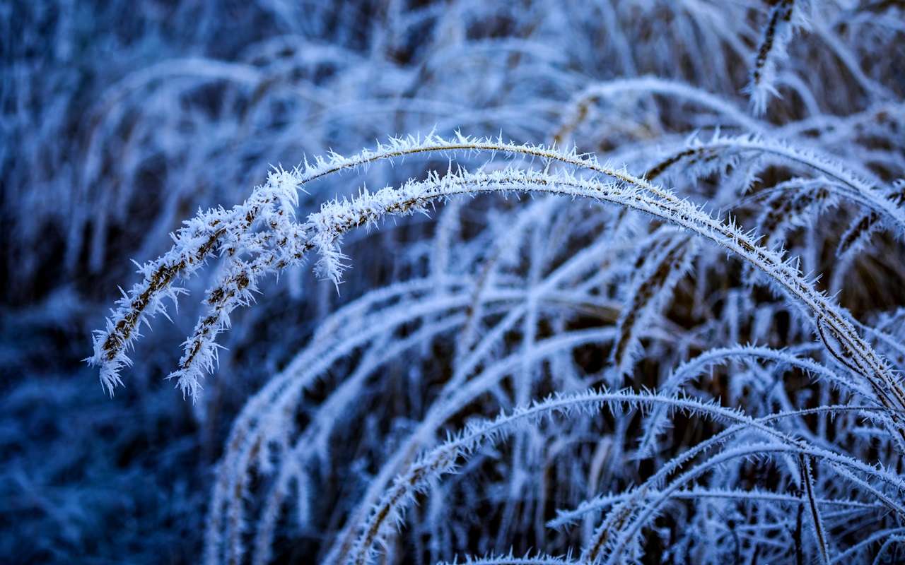 О резком похолодании предупредили жителей Воронежской области специалисты регионального центра по гидрометеорологии и мониторингу окружающей среды