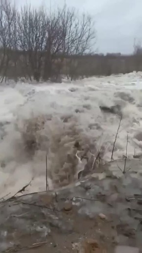 � ����������� ������� ��������� ������ ����� ������� �����