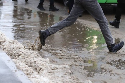 Стало известно, сколько ПВР для жителей подтопленных домовладений создали в Воронежской области