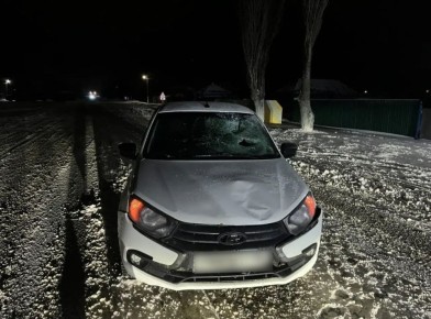 Житель воронежского поселка погиб под колёсами автомобиля