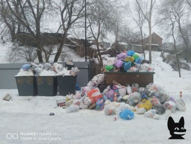 Воронежцы пожаловались Ксении Собчак на проблемы с вывозом мусора
