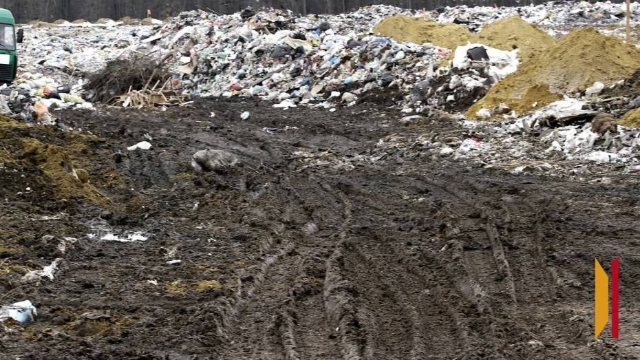 В Борисоглебске ликвидируют незаконные свалки