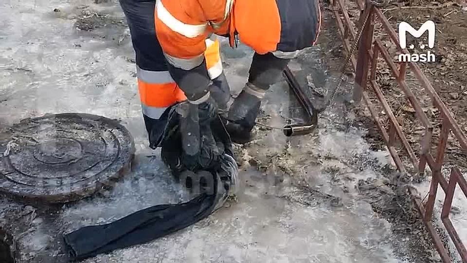 ��� �����, ���� ����� ������ � ������? �������� ������ ��������, ������� �������� �����������, ������ ����������� ���� ����������� � ������ ������ 500� �������� ����������