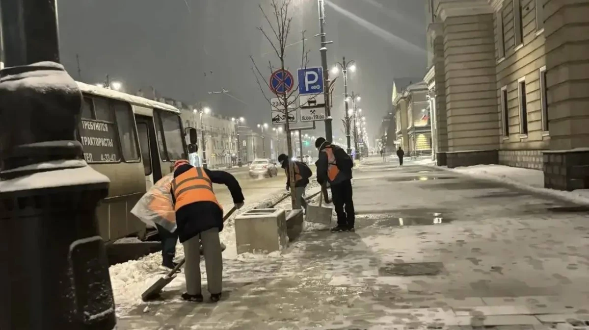 В ночь на 25 февраля из Воронежа вывезли 4,8 тыс кубометров снега