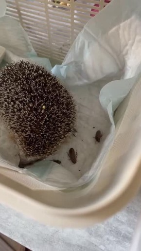 ����������� ��������� ������ ����� � ����������� ����������� �����